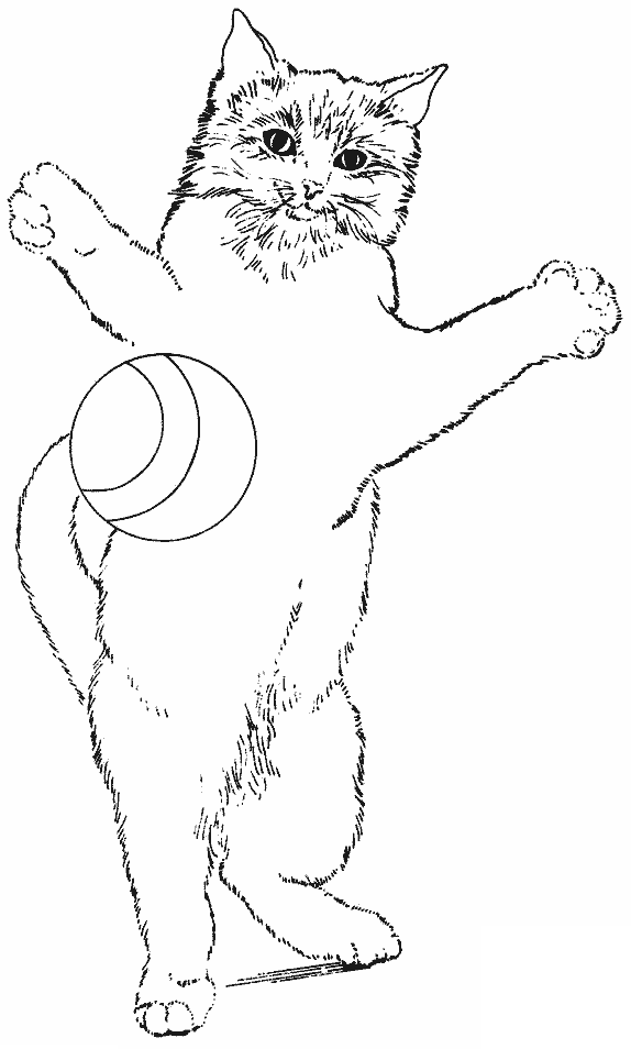 coloriage chat jouant avec une balle